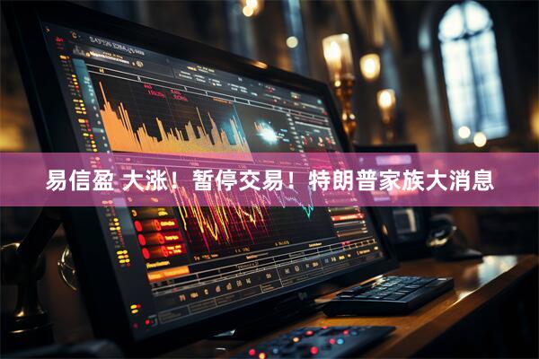 易信盈 大涨！暂停交易！特朗普家族大消息