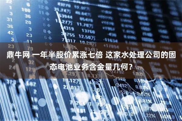 鼎牛网 一年半股价累涨七倍 这家水处理公司的固态电池业务含金量几何？