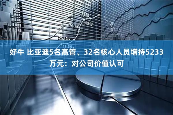 好牛 比亚迪5名高管、32名核心人员增持5233万元：对公司价值认可