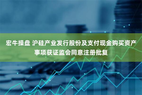 宏牛操盘 沪硅产业发行股份及支付现金购买资产事项获证监会同意注册批复
